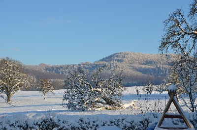 Winterlandschaft in Schlat