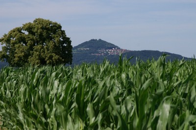 Der Hohenstaufen