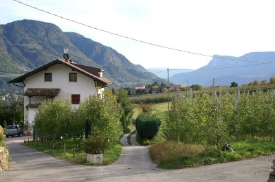 Pension Wiesenheim