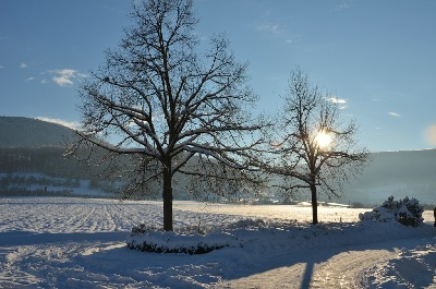 Winterlandschaft in Schlat